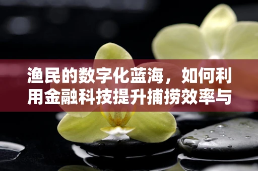 渔民的数字化蓝海，如何利用金融科技提升捕捞效率与风险管理？