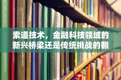 索道技术，金融科技领域的新兴桥梁还是传统挑战的翻新？