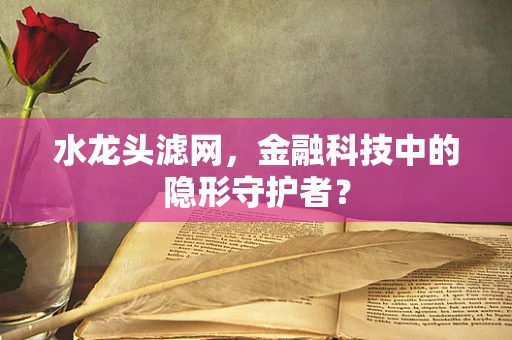 水龙头滤网，金融科技中的隐形守护者？