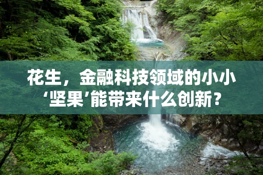 花生，金融科技领域的小小‘坚果’能带来什么创新？