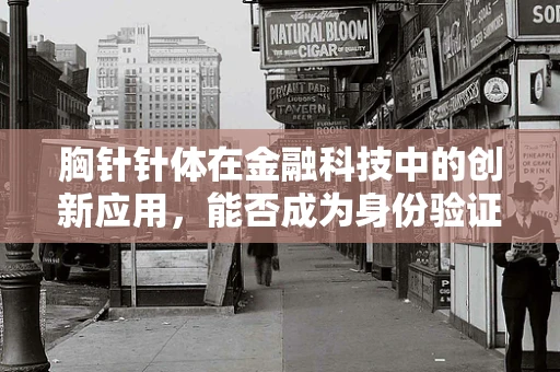 胸针针体在金融科技中的创新应用，能否成为身份验证的新钥匙？