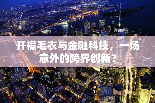 开襟毛衣与金融科技，一场意外的跨界创新？