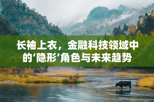 长袖上衣，金融科技领域中的‘隐形’角色与未来趋势