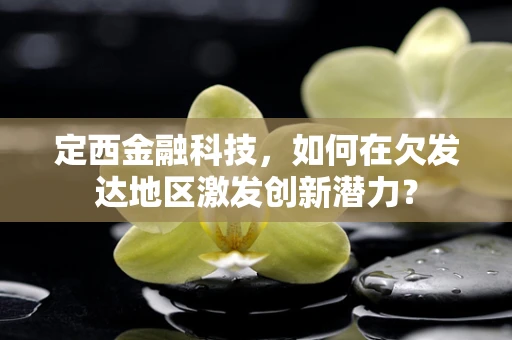 定西金融科技，如何在欠发达地区激发创新潜力？