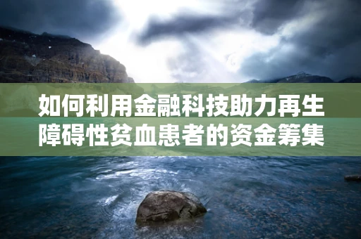 如何利用金融科技助力再生障碍性贫血患者的资金筹集与管理？