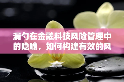 漏勺在金融科技风险管理中的隐喻，如何构建有效的风险‘过滤网’？