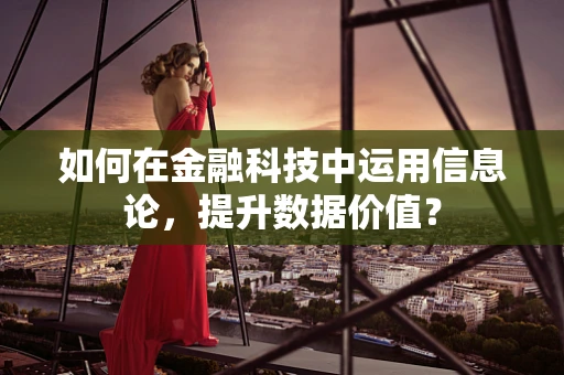 如何在金融科技中运用信息论，提升数据价值？