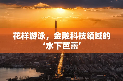 花样游泳，金融科技领域的‘水下芭蕾’