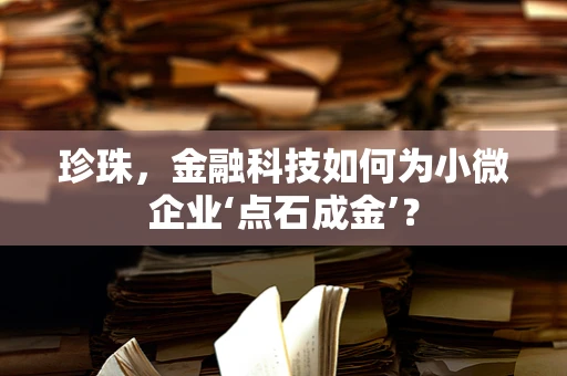 珍珠，金融科技如何为小微企业‘点石成金’？