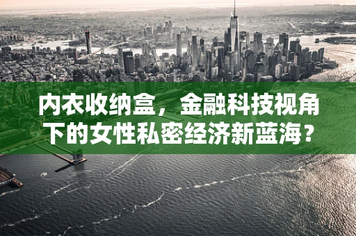 内衣收纳盒，金融科技视角下的女性私密经济新蓝海？