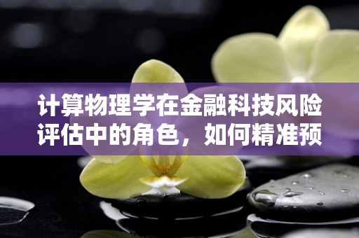 计算物理学在金融科技风险评估中的角色，如何精准预测市场波动？