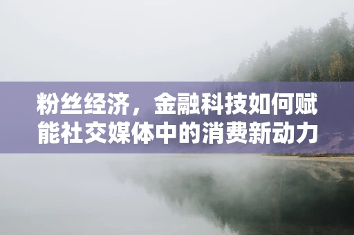 粉丝经济，金融科技如何赋能社交媒体中的消费新动力？