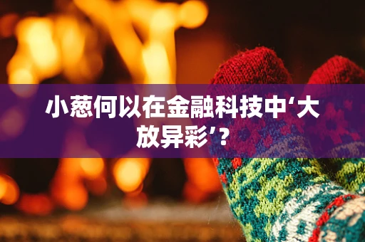 小葱何以在金融科技中‘大放异彩’？