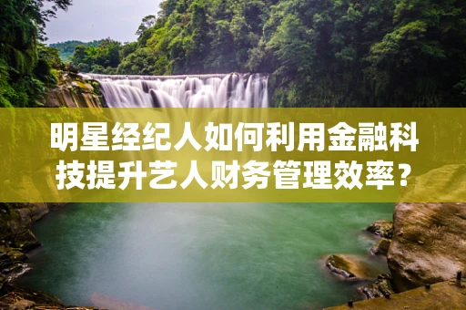 明星经纪人如何利用金融科技提升艺人财务管理效率？