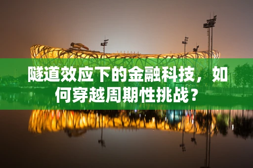 隧道效应下的金融科技，如何穿越周期性挑战？