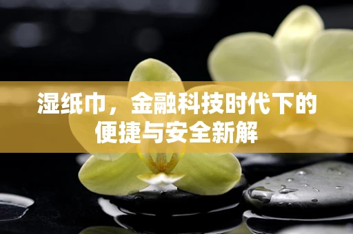 湿纸巾，金融科技时代下的便捷与安全新解