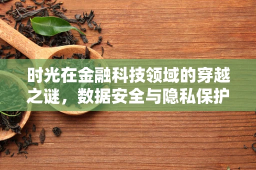 时光在金融科技领域的穿越之谜，数据安全与隐私保护的永恒挑战