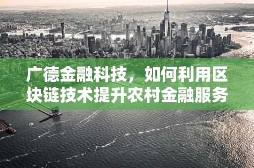 广德金融科技，如何利用区块链技术提升农村金融服务效率？