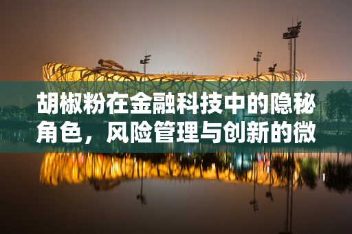 胡椒粉在金融科技中的隐秘角色，风险管理与创新的微妙平衡