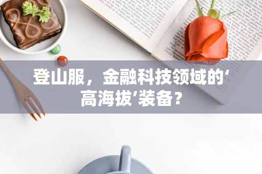 登山服，金融科技领域的‘高海拔’装备？