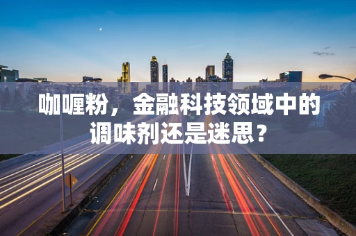 咖喱粉，金融科技领域中的调味剂还是迷思？