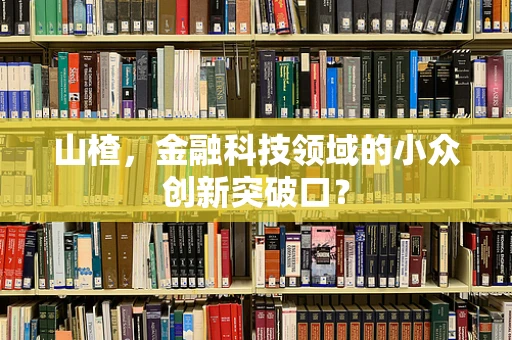 山楂，金融科技领域的小众创新突破口？