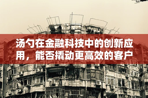 汤勺在金融科技中的创新应用，能否撬动更高效的客户服务体验？