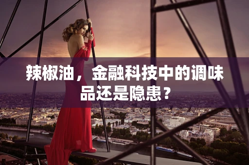 辣椒油，金融科技中的调味品还是隐患？