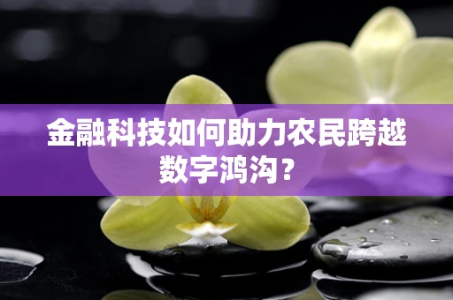 金融科技如何助力农民跨越数字鸿沟？