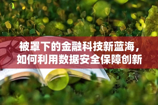 被罩下的金融科技新蓝海，如何利用数据安全保障创新？