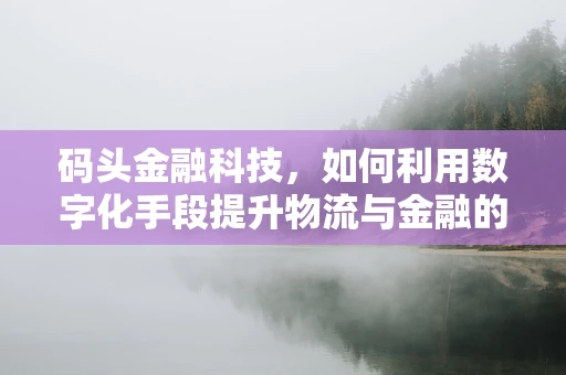 码头金融科技，如何利用数字化手段提升物流与金融的融合效率？