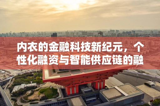 内衣的金融科技新纪元，个性化融资与智能供应链的融合探索
