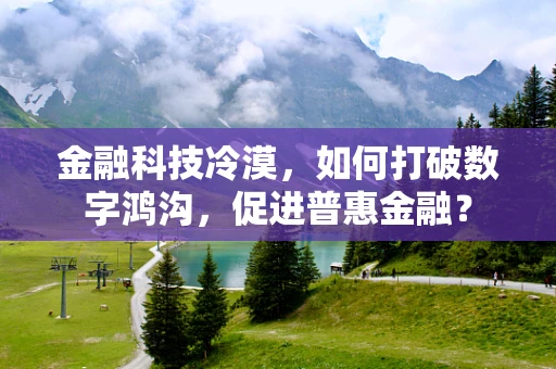 金融科技冷漠，如何打破数字鸿沟，促进普惠金融？