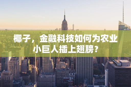 椰子，金融科技如何为农业小巨人插上翅膀？