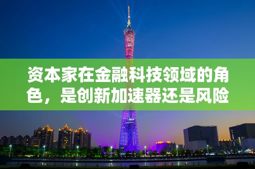 资本家在金融科技领域的角色，是创新加速器还是风险放大器？
