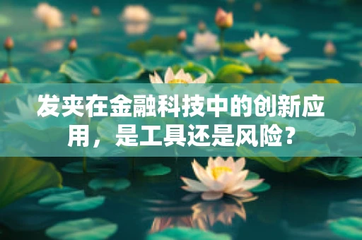 发夹在金融科技中的创新应用，是工具还是风险？