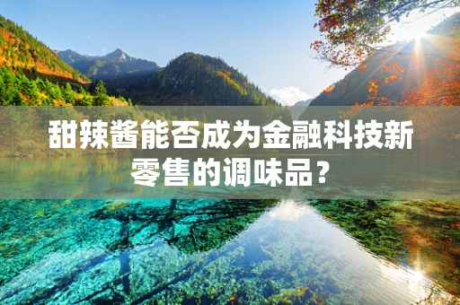 甜辣酱能否成为金融科技新零售的调味品？