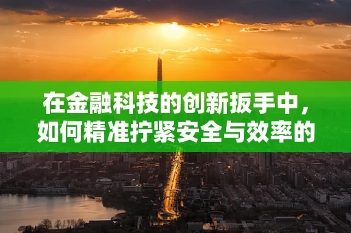 在金融科技的创新扳手中，如何精准拧紧安全与效率的螺丝？