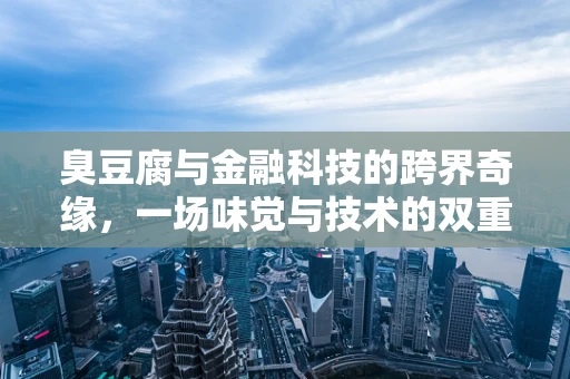 臭豆腐与金融科技的跨界奇缘，一场味觉与技术的双重盛宴？