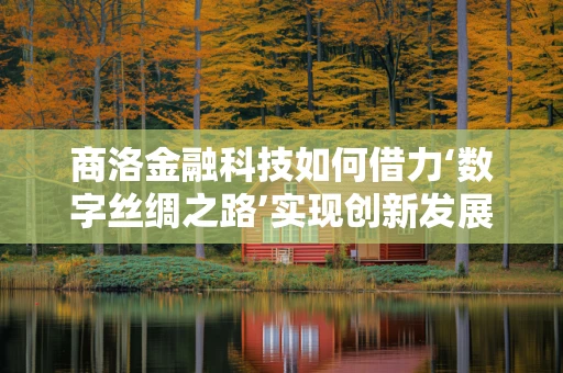 商洛金融科技如何借力‘数字丝绸之路’实现创新发展？