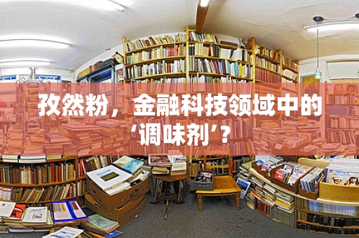 孜然粉，金融科技领域中的‘调味剂’？