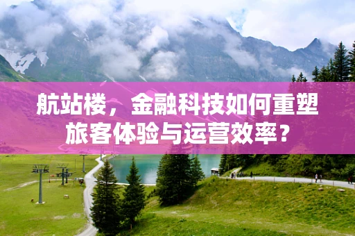 航站楼，金融科技如何重塑旅客体验与运营效率？