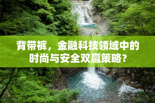 背带裤，金融科技领域中的时尚与安全双赢策略？