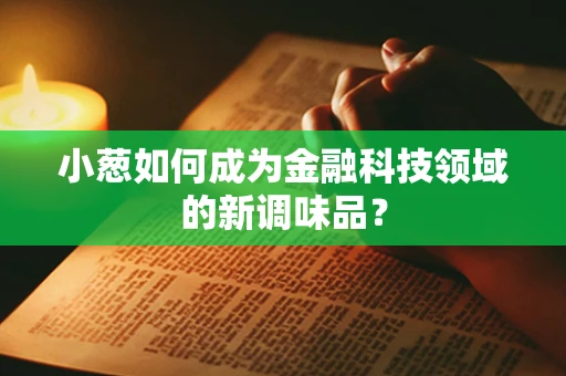 小葱如何成为金融科技领域的新调味品？