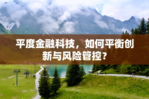 平度金融科技，如何平衡创新与风险管控？