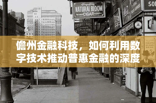 儋州金融科技，如何利用数字技术推动普惠金融的深度发展？