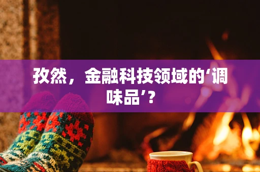 孜然，金融科技领域的‘调味品’？