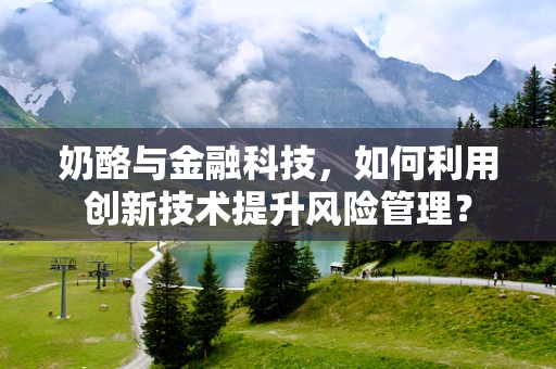 奶酪与金融科技，如何利用创新技术提升风险管理？