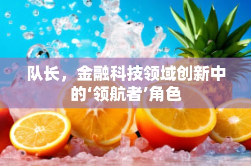 队长，金融科技领域创新中的‘领航者’角色