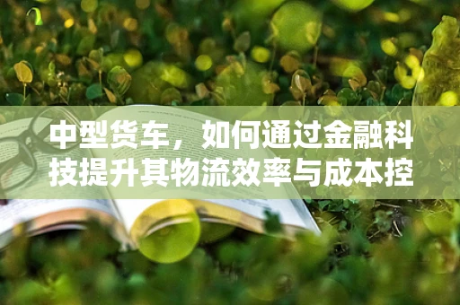 中型货车，如何通过金融科技提升其物流效率与成本控制？